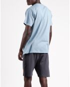 Pyjama T-Shirt & Short Lysandre bleu/gris